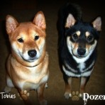 Tobias y dozer